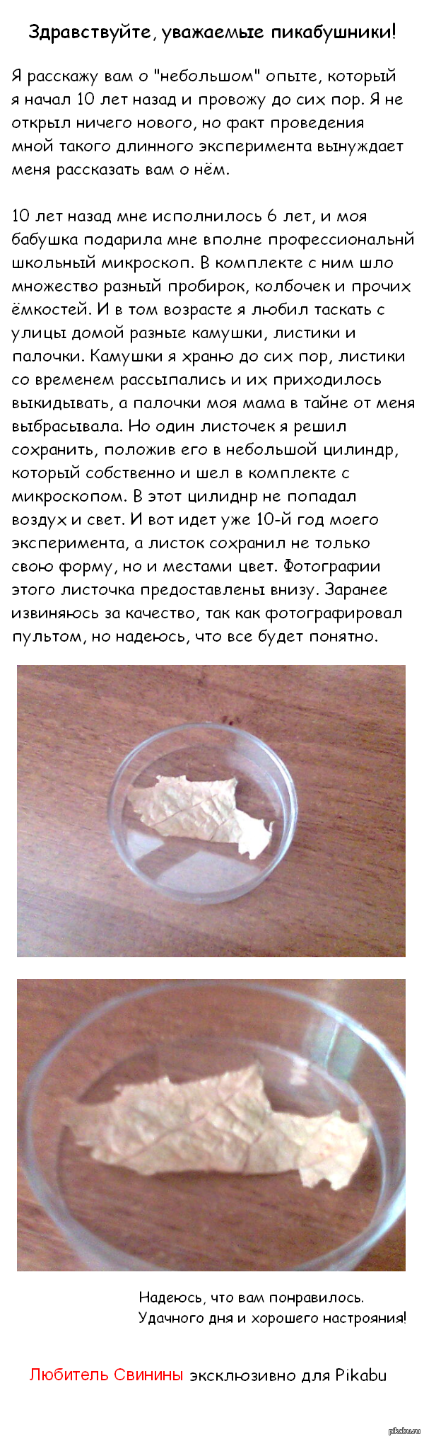 ��������� �����������