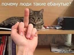 Ебанутый Кот