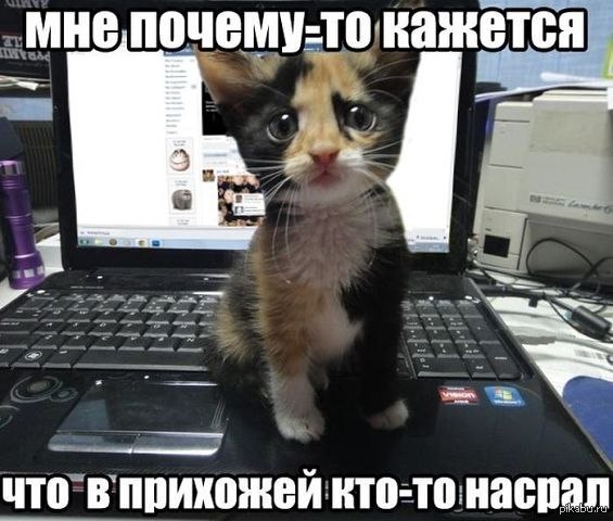 Почему ты кажешься. Как будто знаю тебя всю жизнь. Почему ты кажешься. Блудные мысли. Почему ты кажешься.