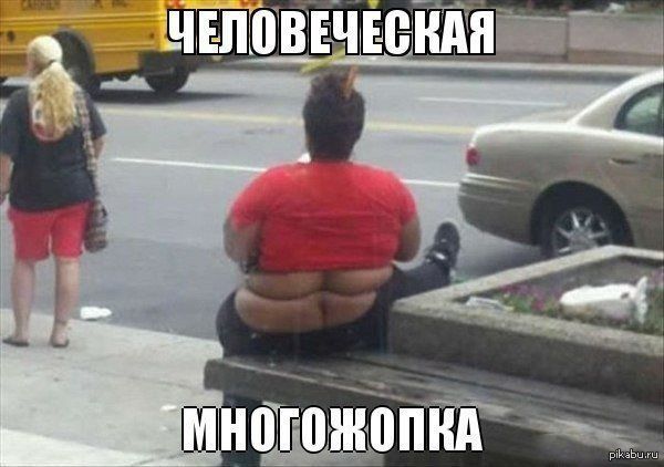 ��������)