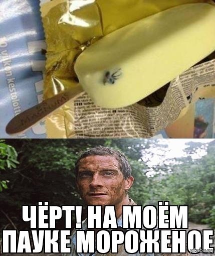 Беар гриллс прикольные картинки, рая днем