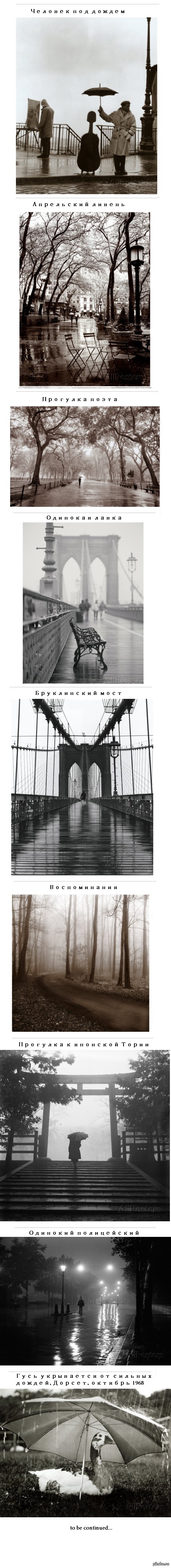 Черно-белые фото: rain