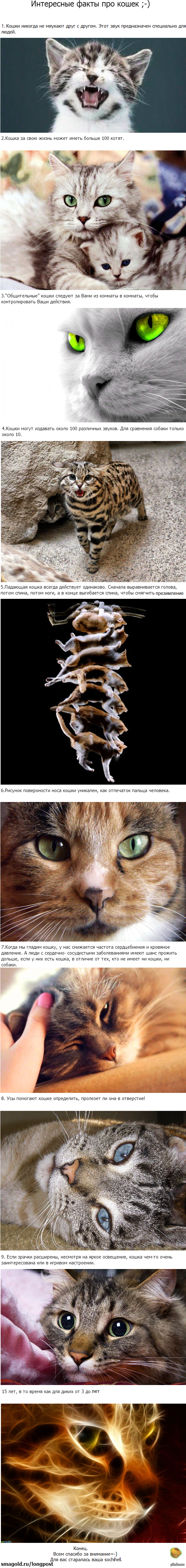 ���� ���� ���������� ��� ������=-)