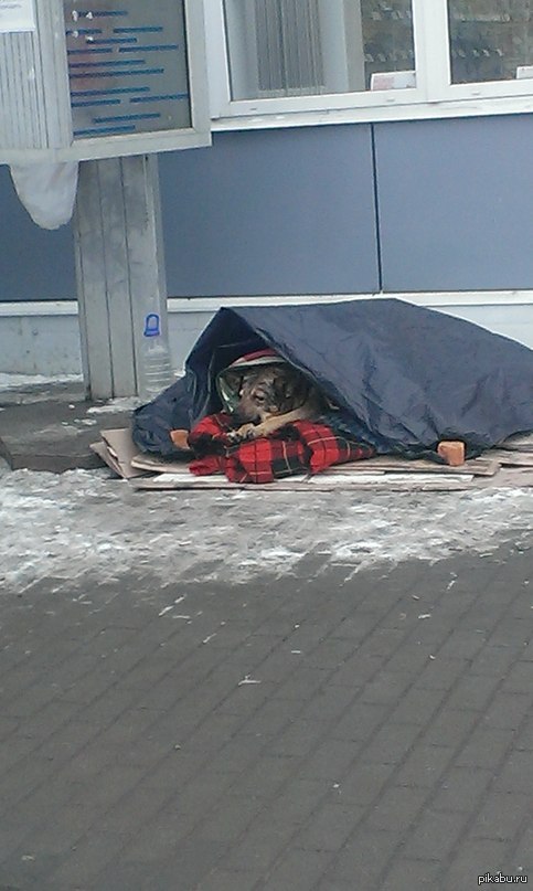 Мир не без добрых людей