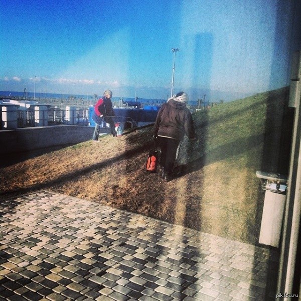 На злобу дня