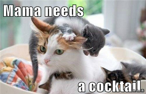 �������� ����� ���...