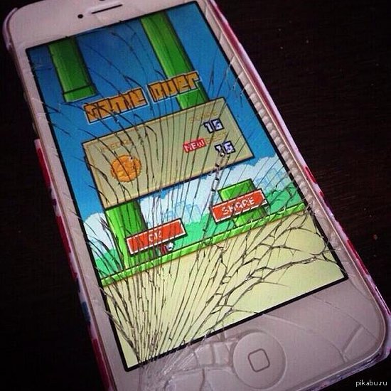Flappy bird  ,   )))