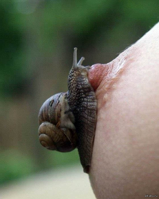 Snail:3 - NSFW, Snail, Girls, Boobs, Strawberry