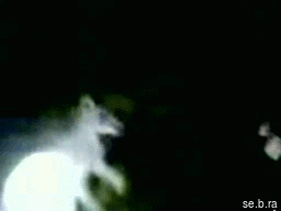 Rekt Thread Gif