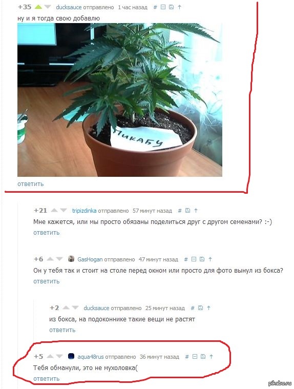   http://pikabu.ru/story/_1953600 ) 