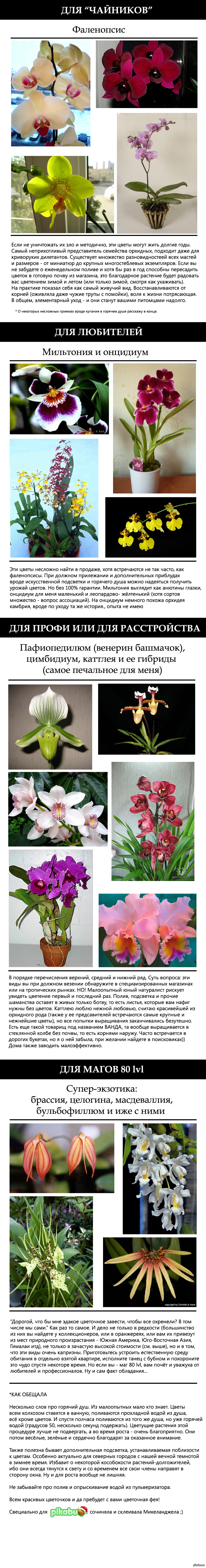 ������� ��� ��������. ������ �� ������ �� �������� �� ������. ���� ��� ��������������.