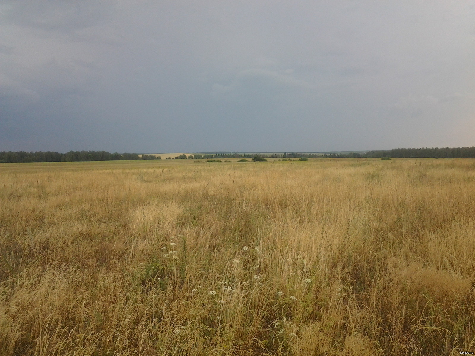 Перед грозой.