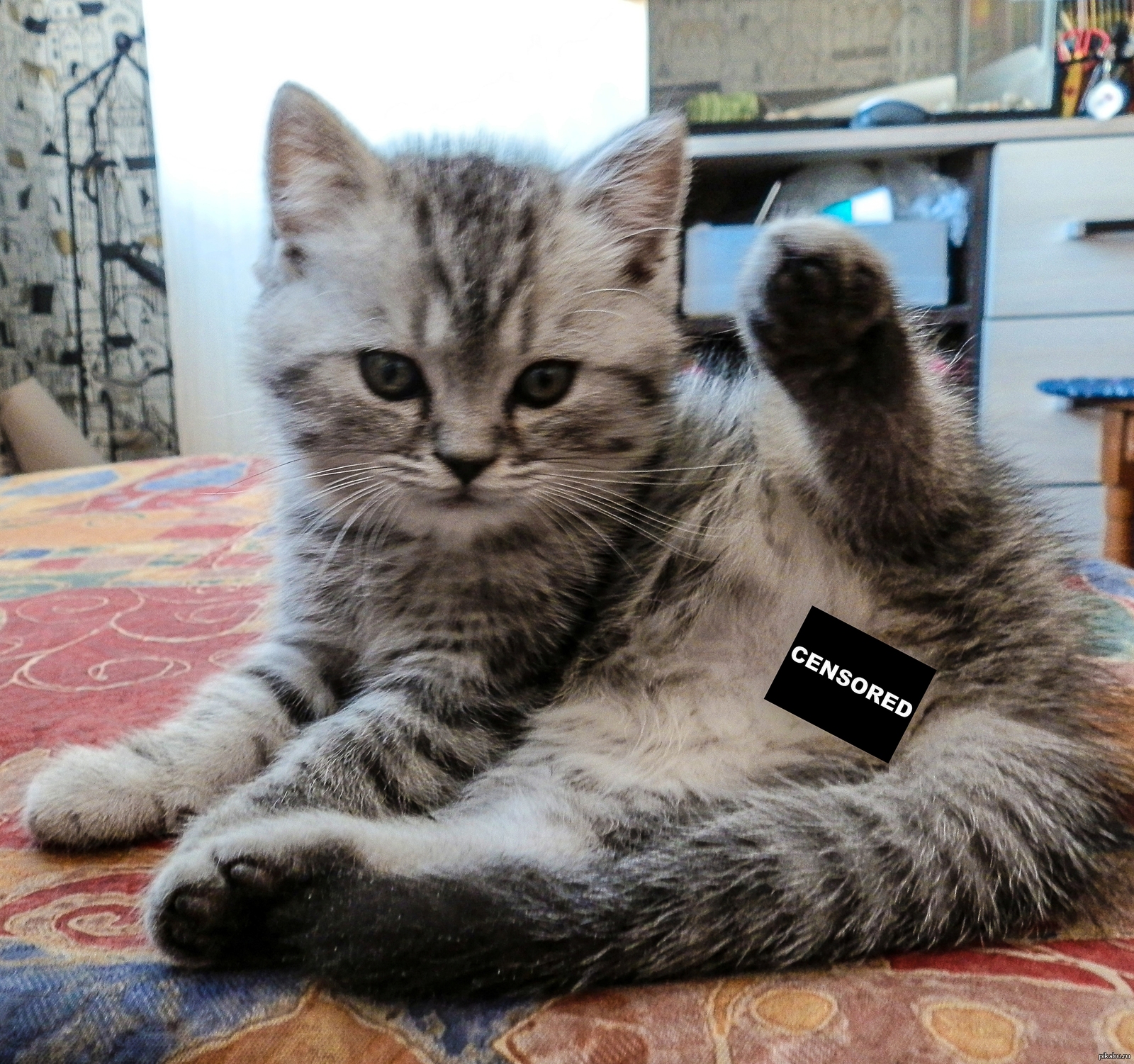 ������ ��������)