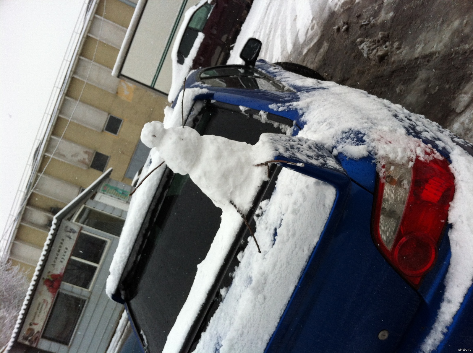 ����������