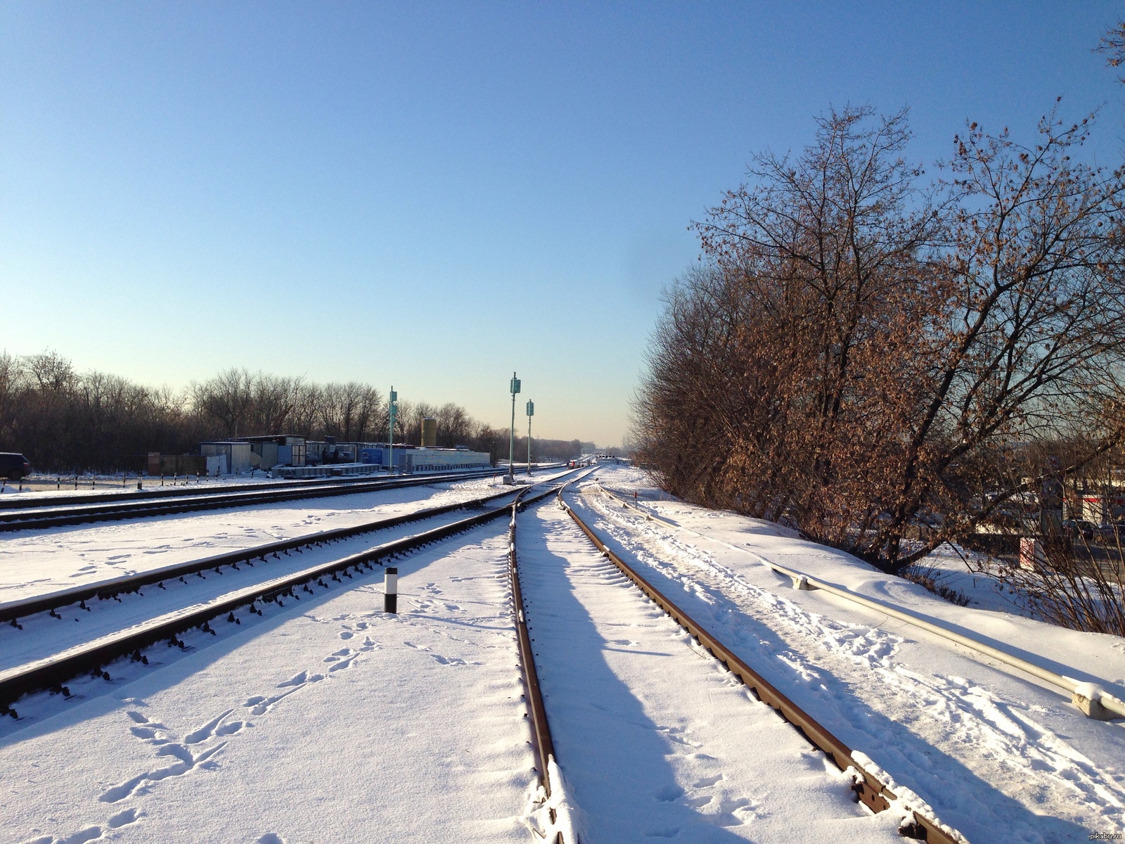 Для лиги детективов!