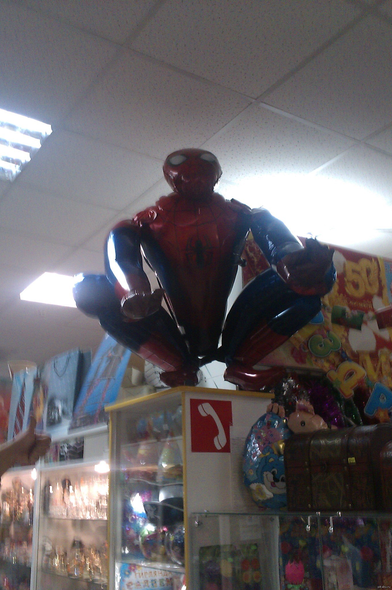 ���� ��. ���� �� �� ������ ?