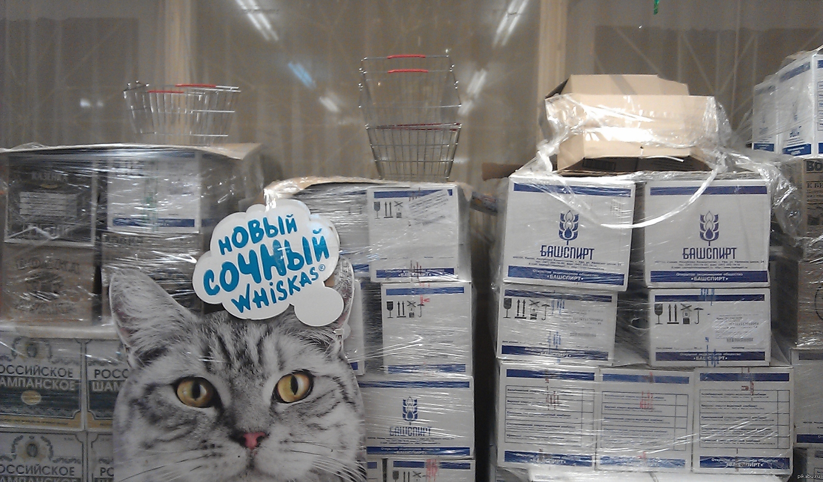 Причина популярности раскрыта!