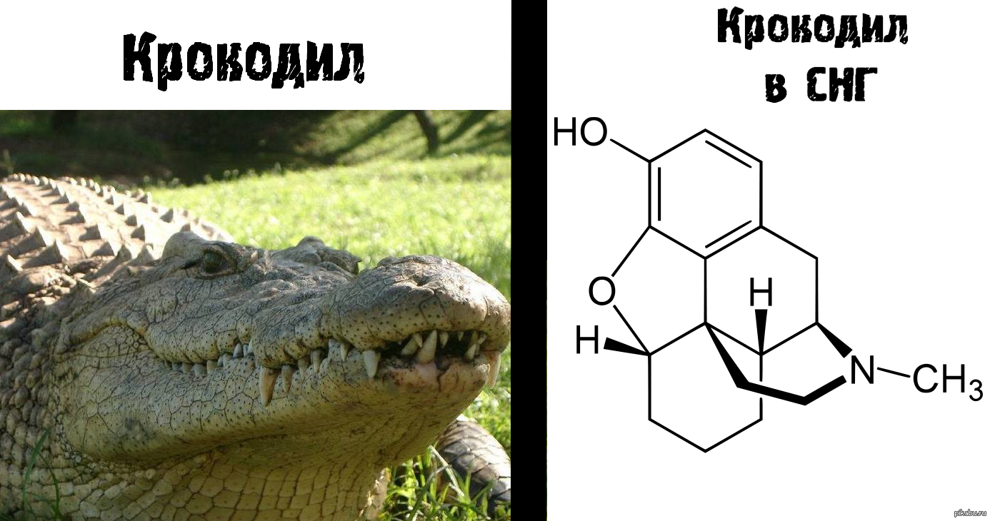 Дезоморфин: истории из жизни, советы, новости, юмор и картинки — Все посты  | Пикабу