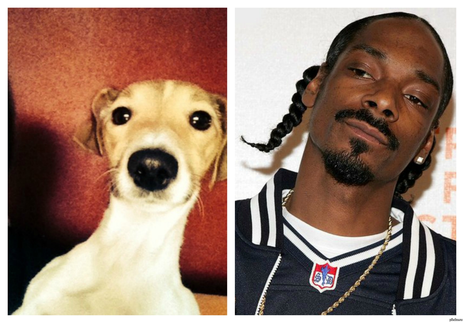  ,   Snoop dogg 