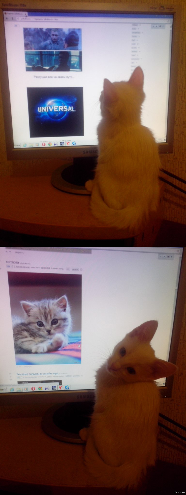 ������� ������ ������))