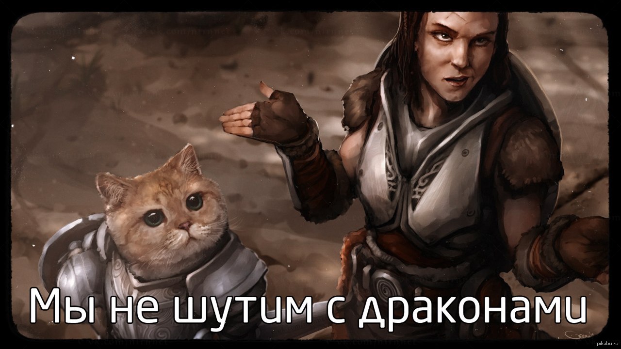 Они не шутят с драконами