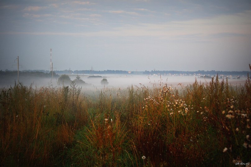 Утро на даче.Август