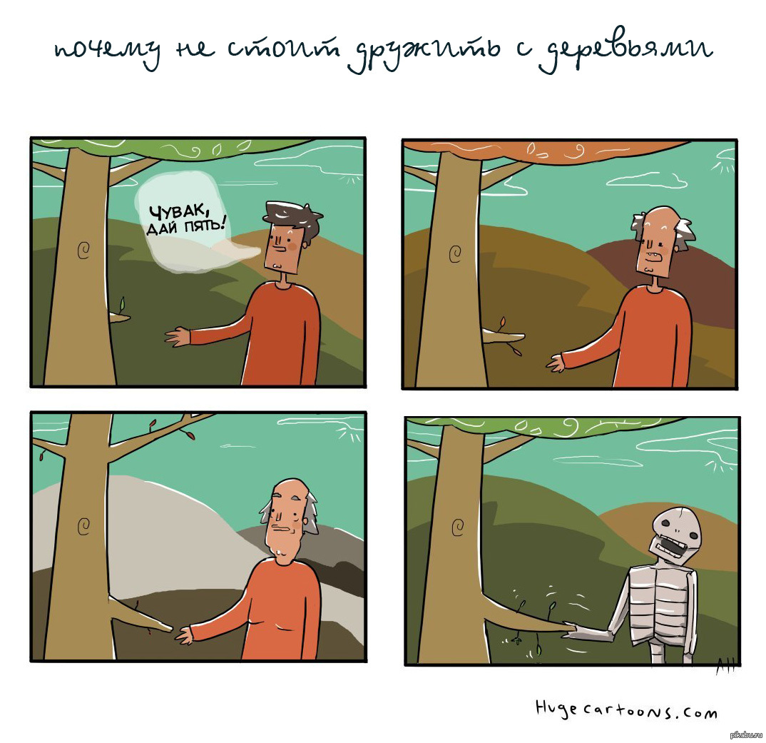Деревья.. | Пикабу