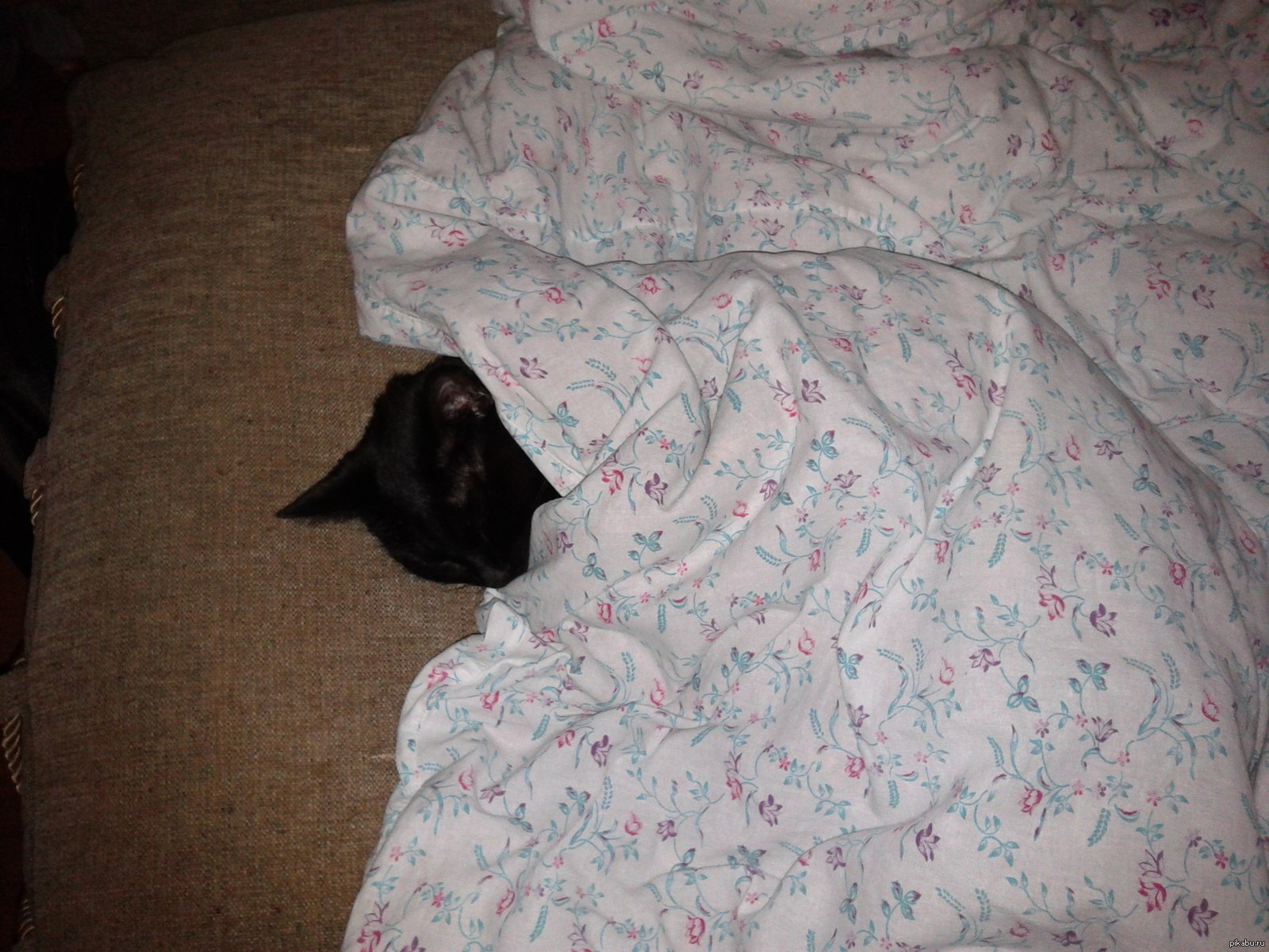 Под одеяльце. Фотосессии под одеялом. Дома под одеялом.