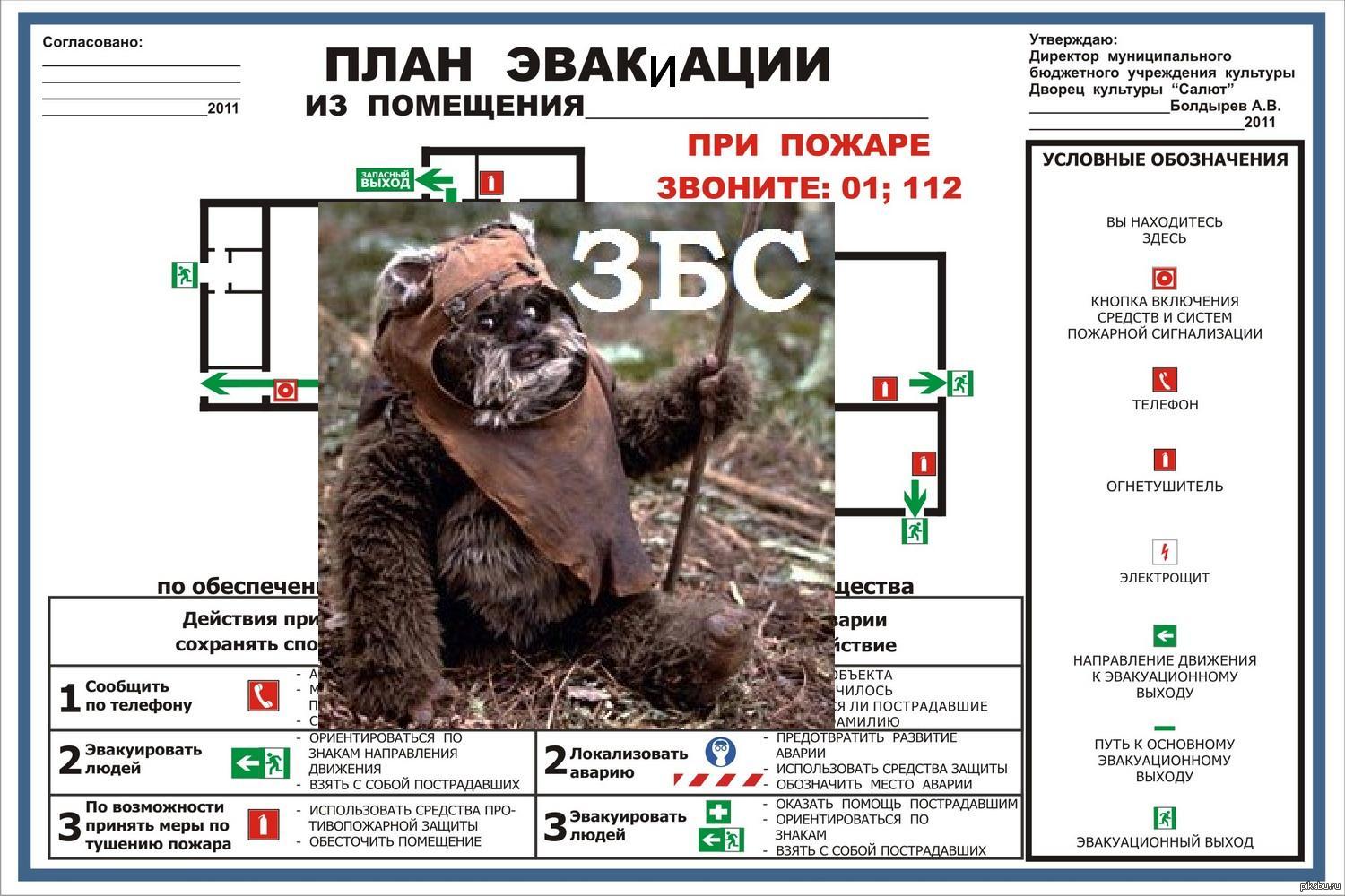 �� ���� ��� ��������