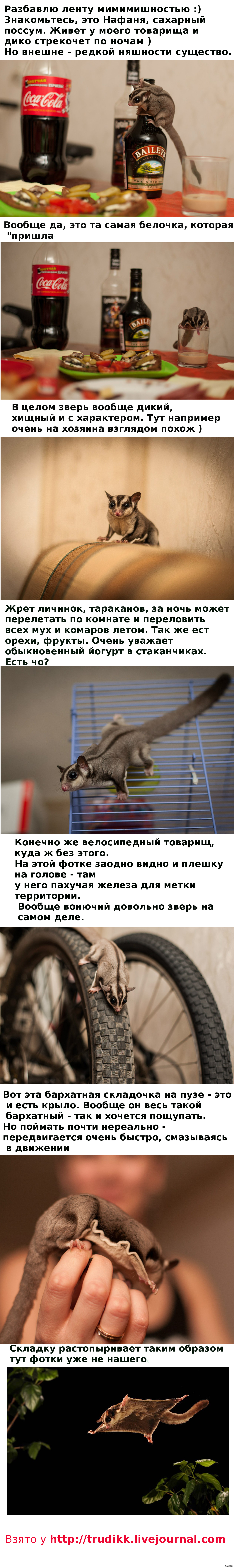 Например как тут. Например как тут