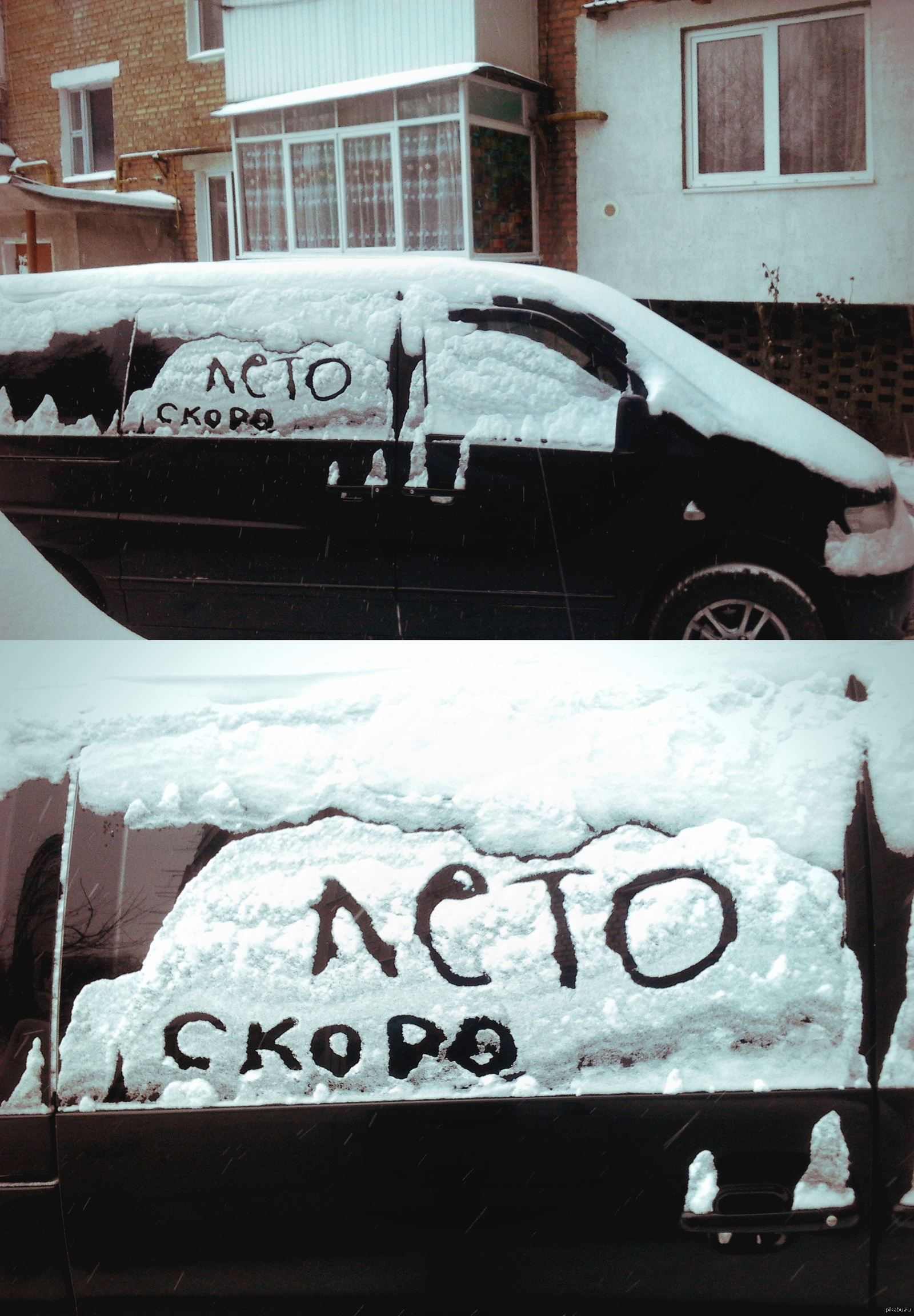 ���� �����)