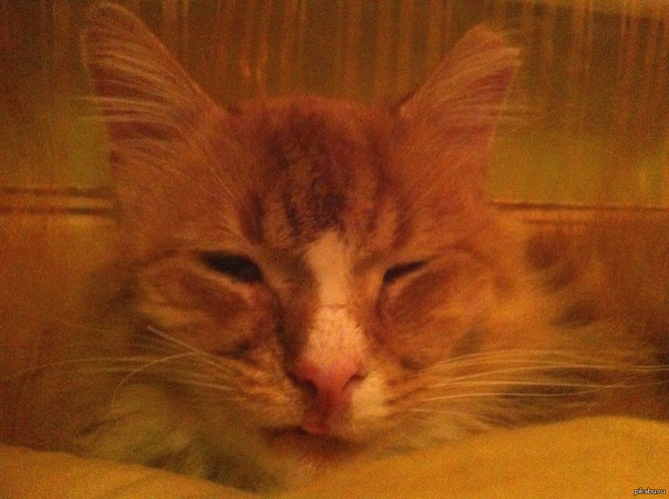 ����������������