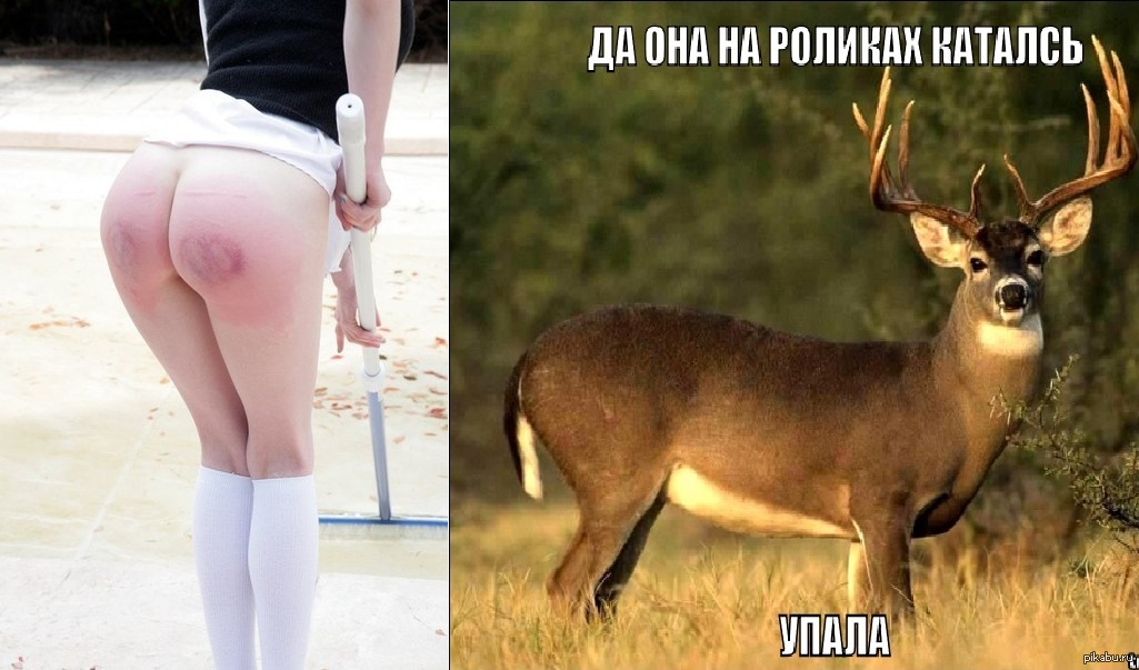 On rollerskates...) - NSFW, Girls, Deer, Ass, Deer