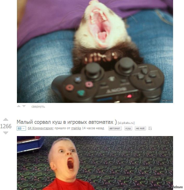 ����������