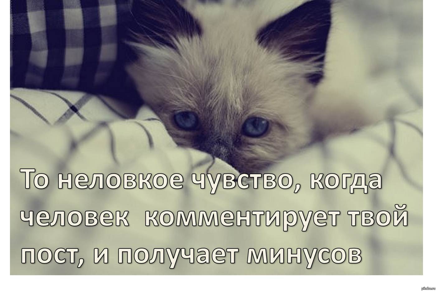 Так-то да | Пикабу