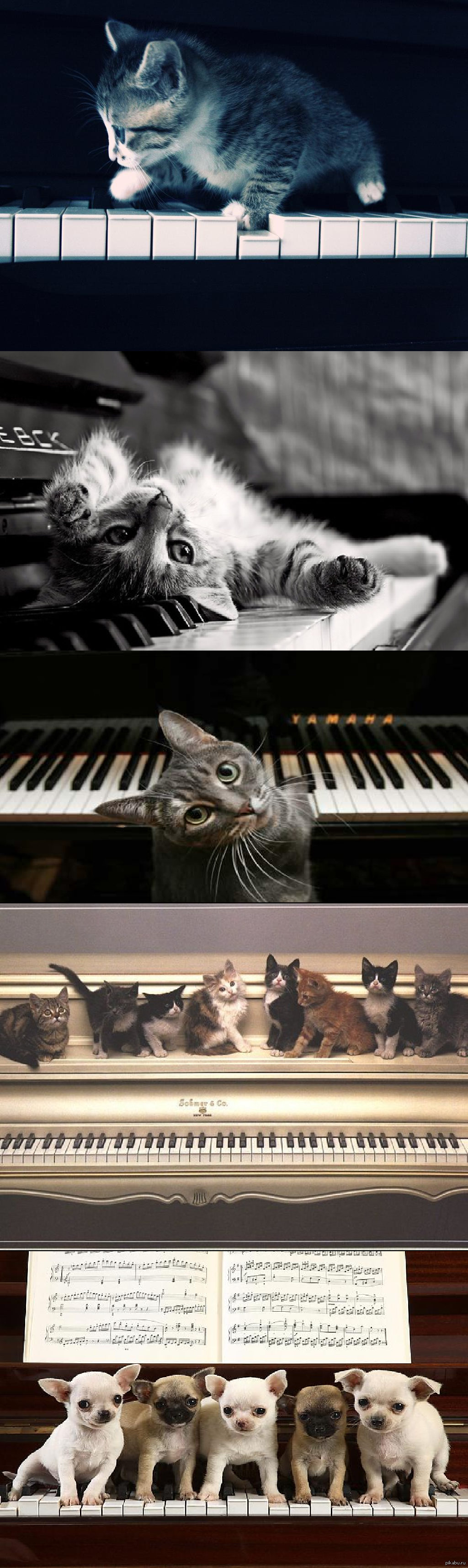 Дело было вечером, делать было нечего.