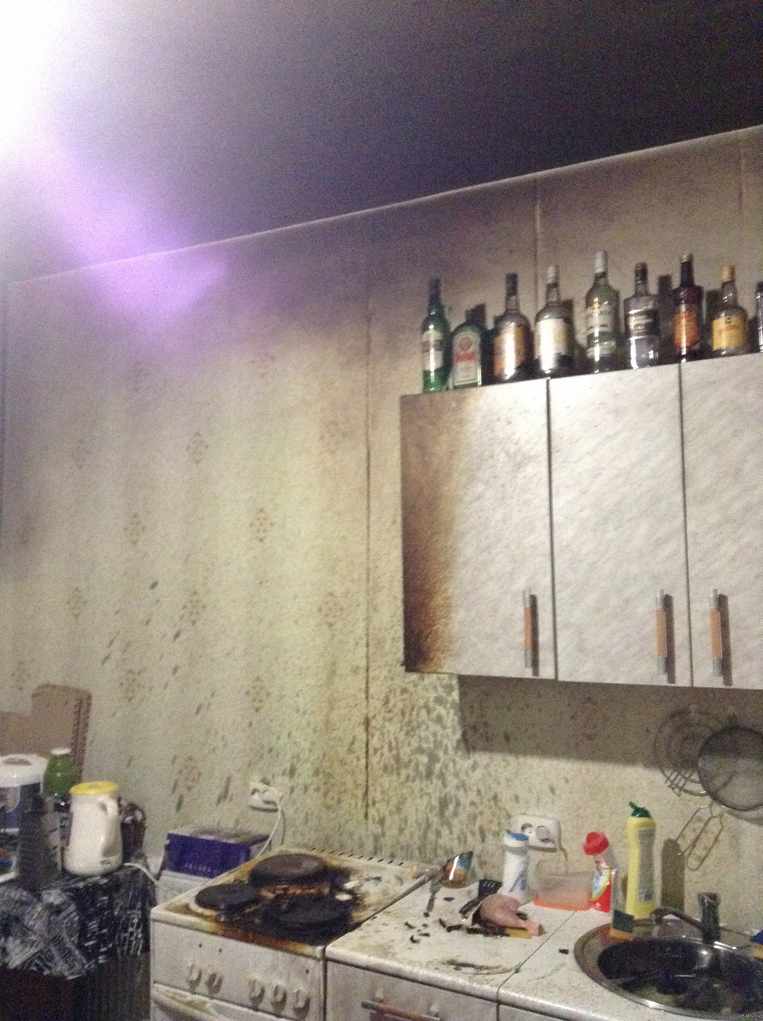 Спасибо, Пикабу, за курочку полковника Сандерса!