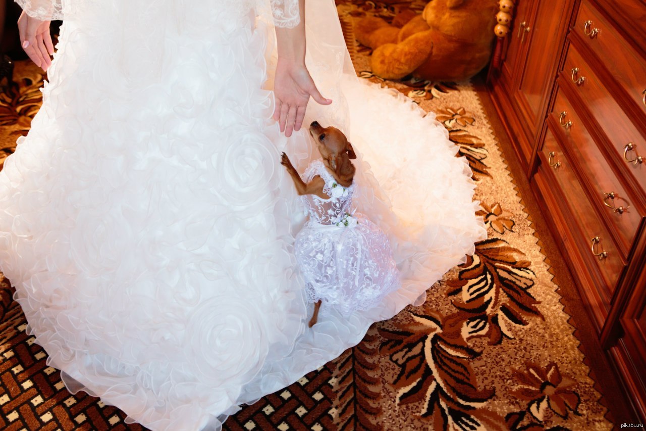 �������� �������