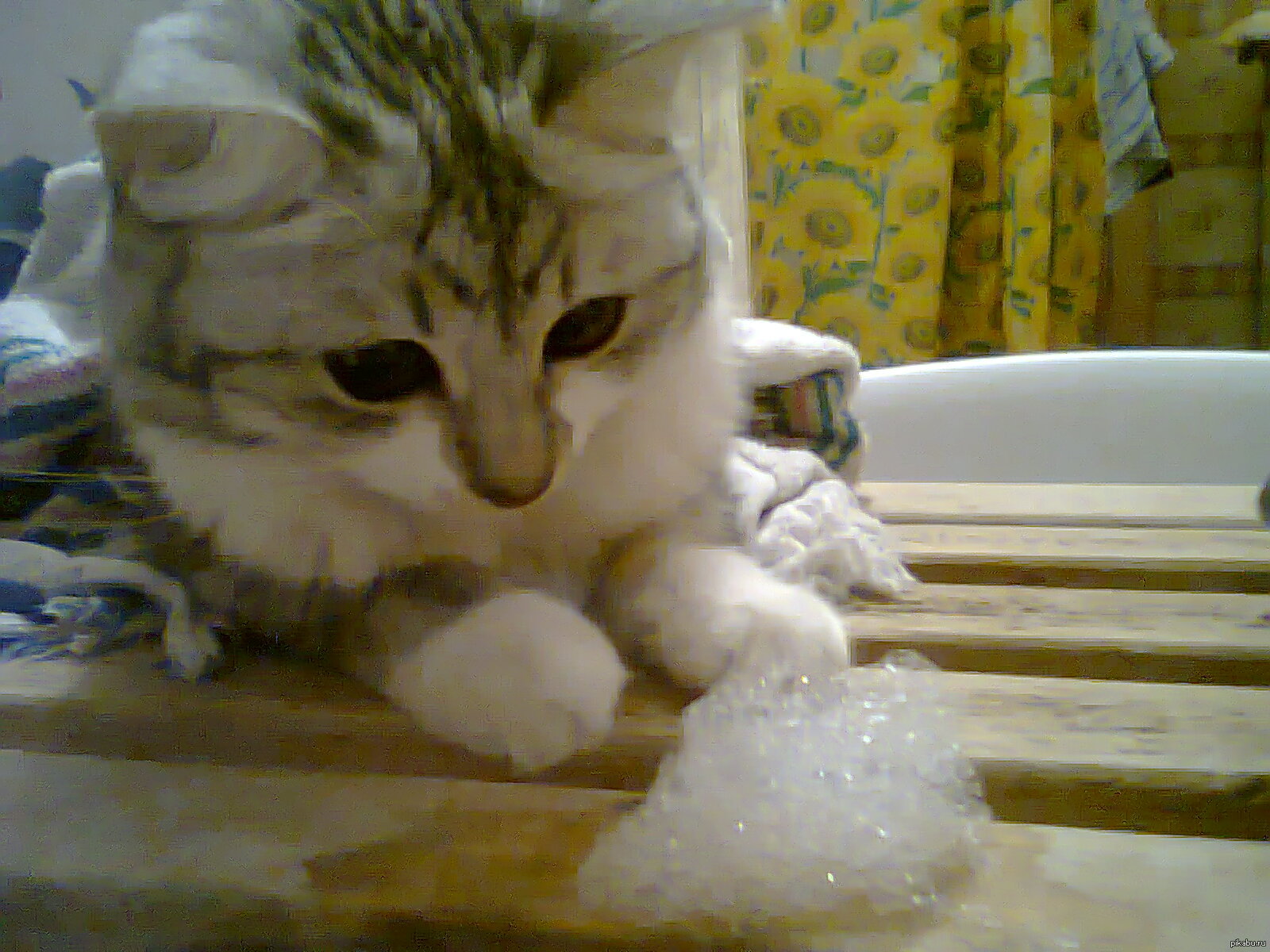 ���������� � ����� ��� ����:�