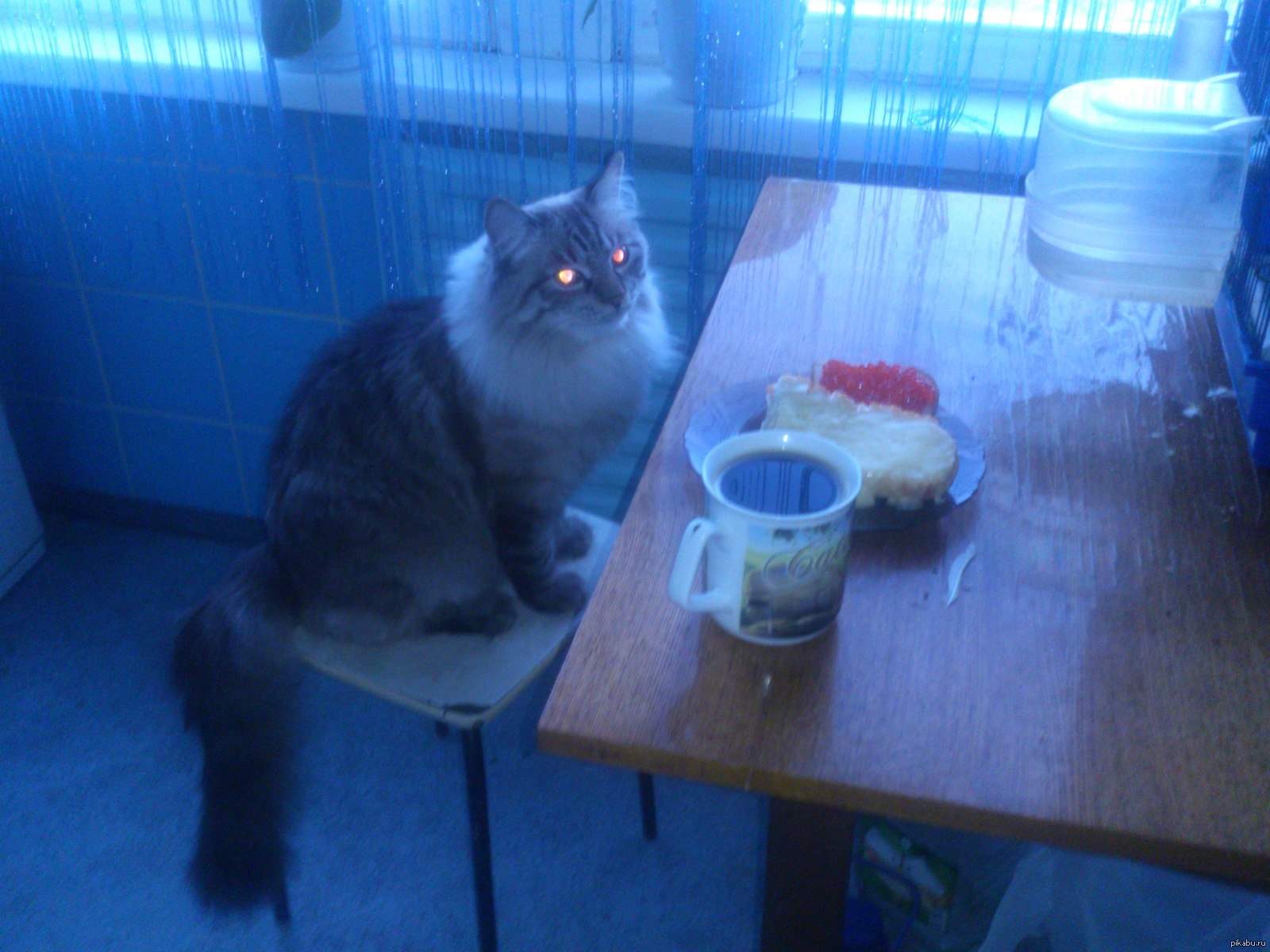 "� ����� ��� � ������....."