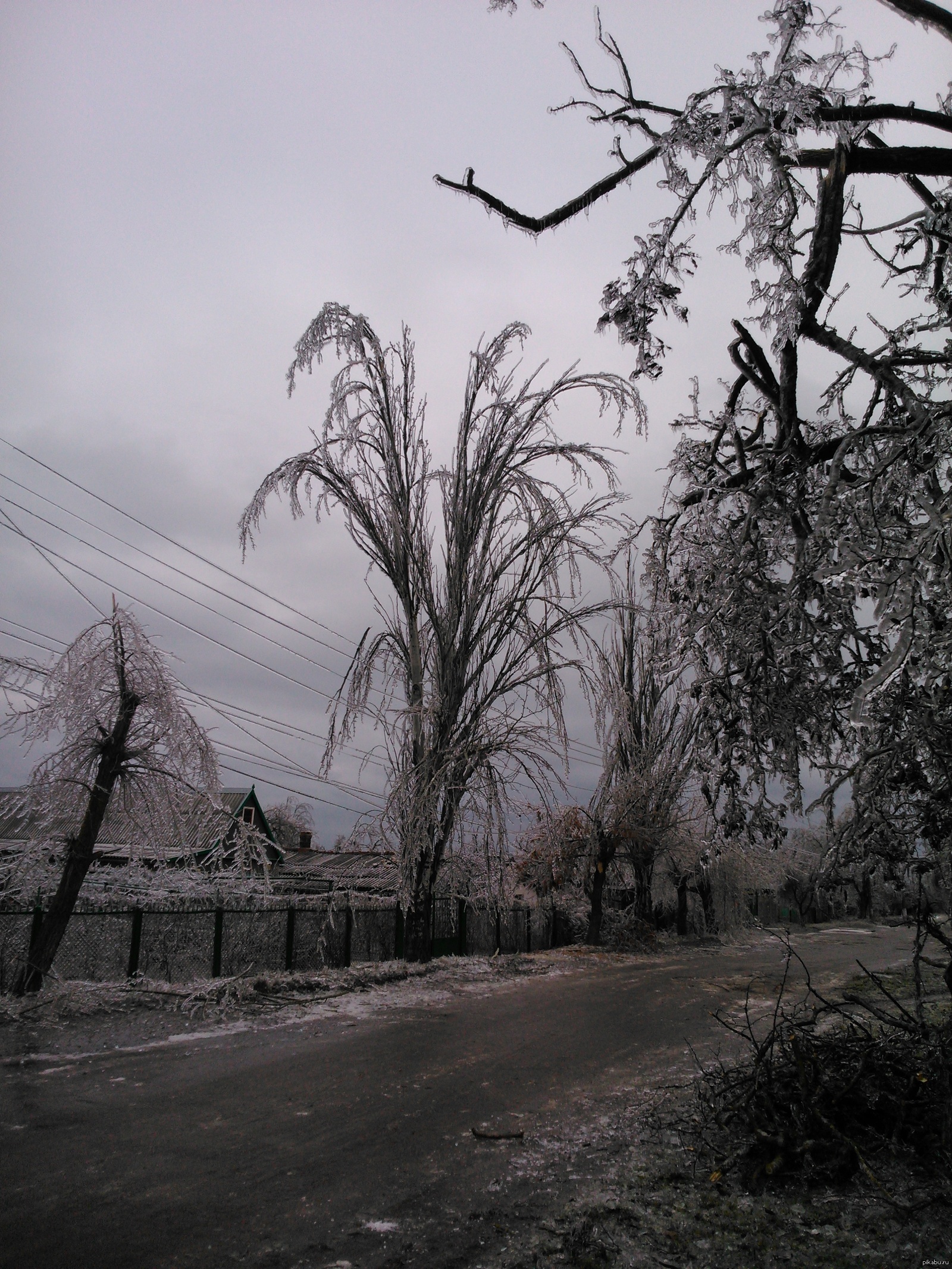 У природы нет плохой погоды