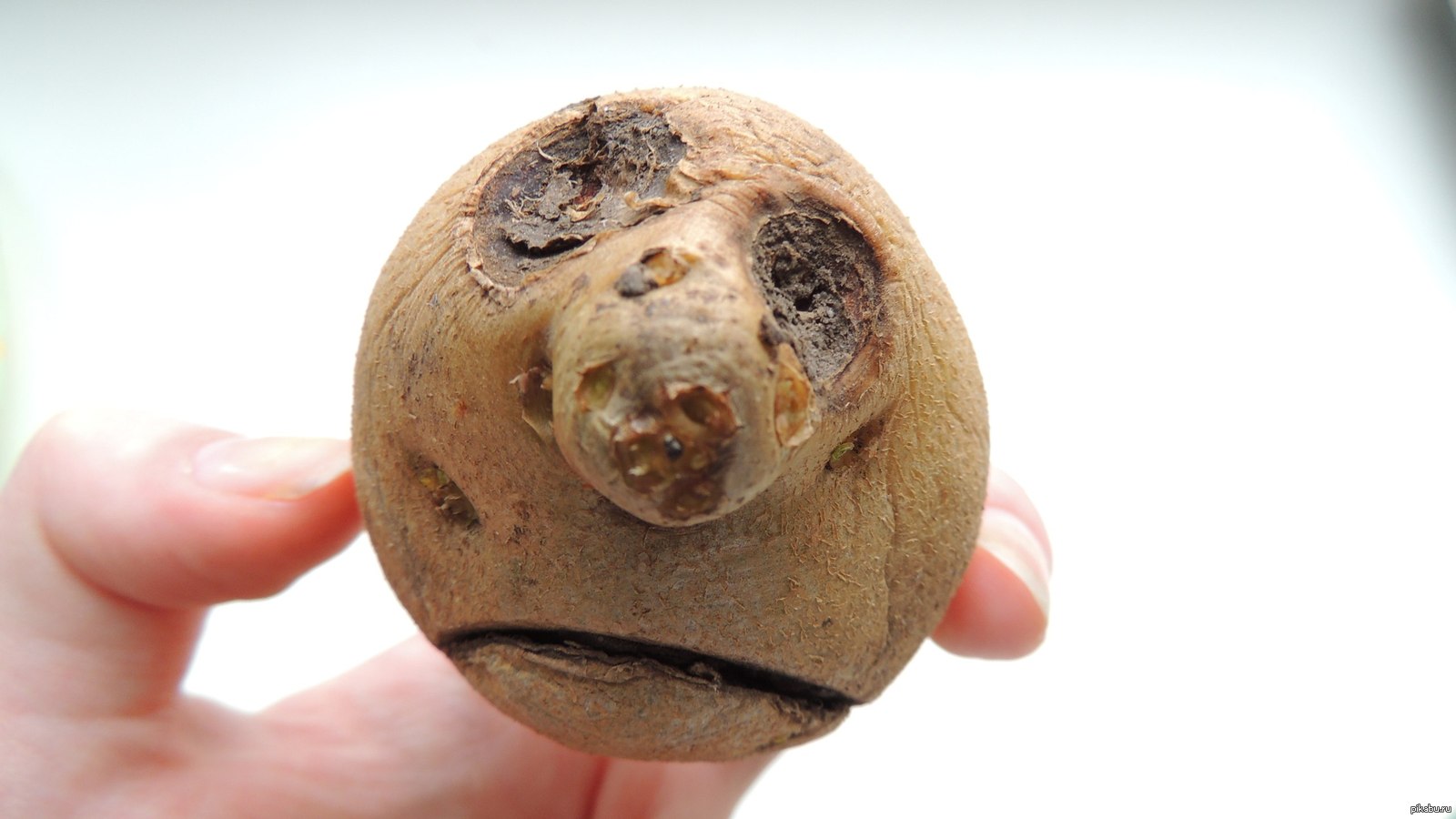 Этот взгляд в душу...