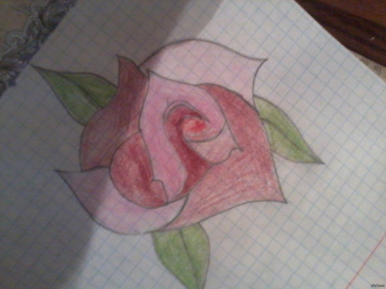 ������ ������������