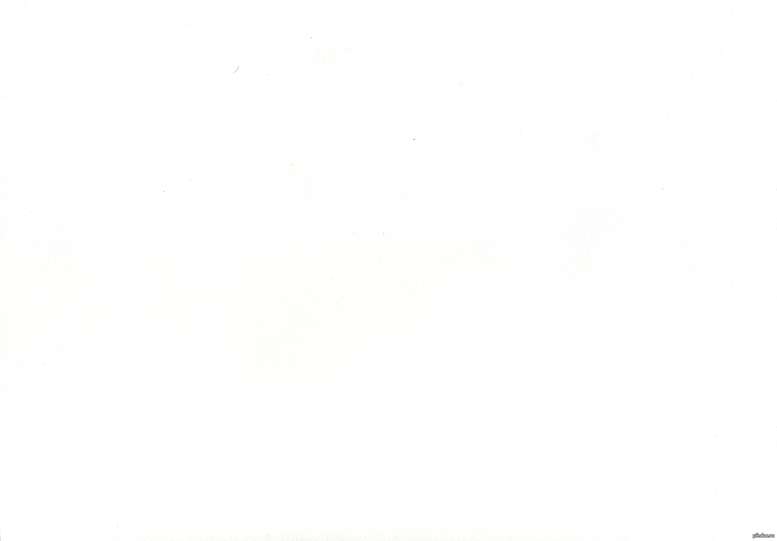 White | Пикабу