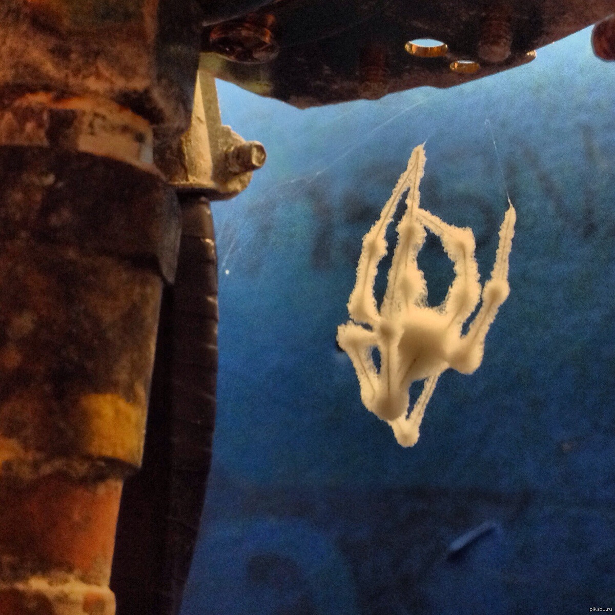 ��� �� �������