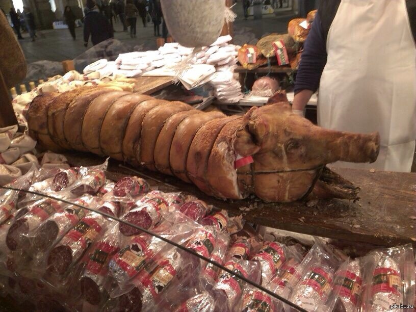 Свинозмей отаке