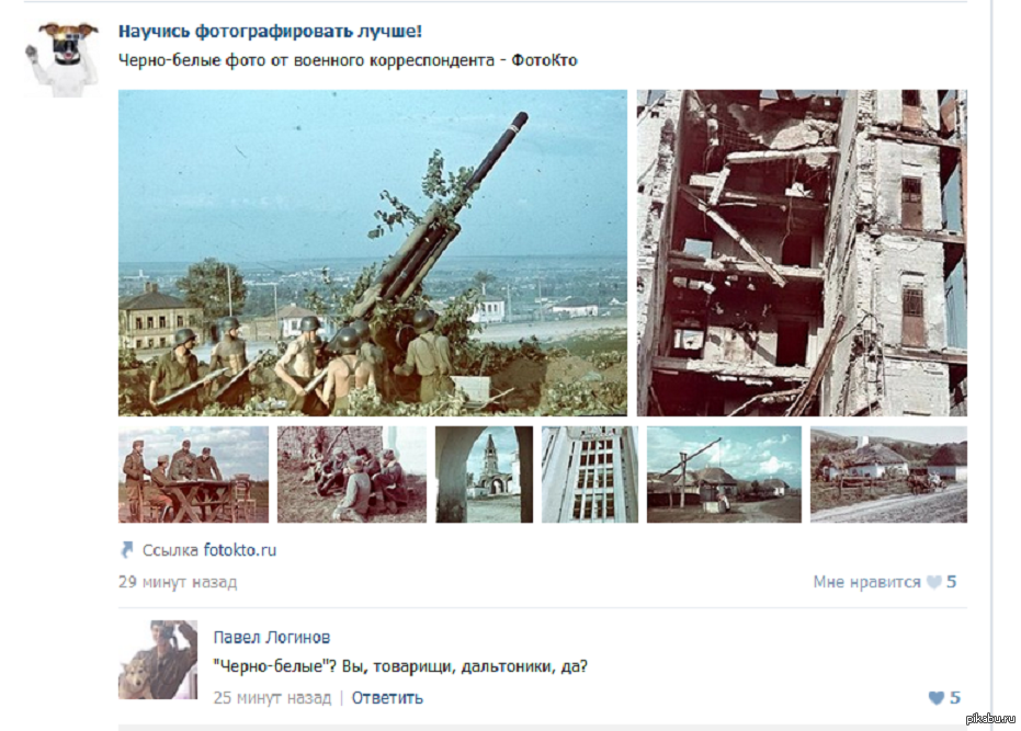 Действительно, дальтоник. | Пикабу