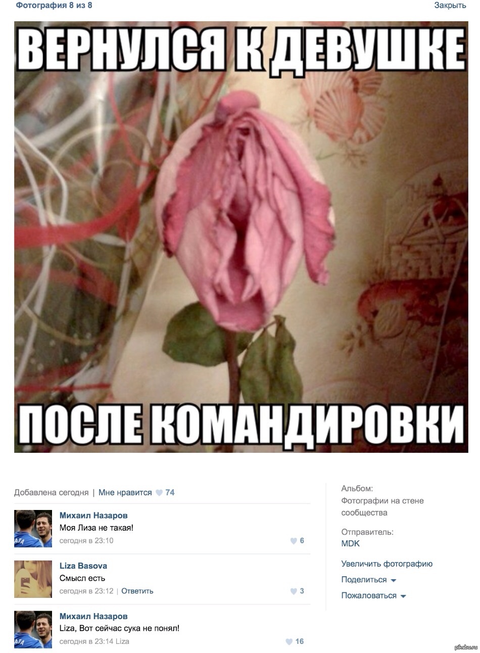 Раскрытые писи девок