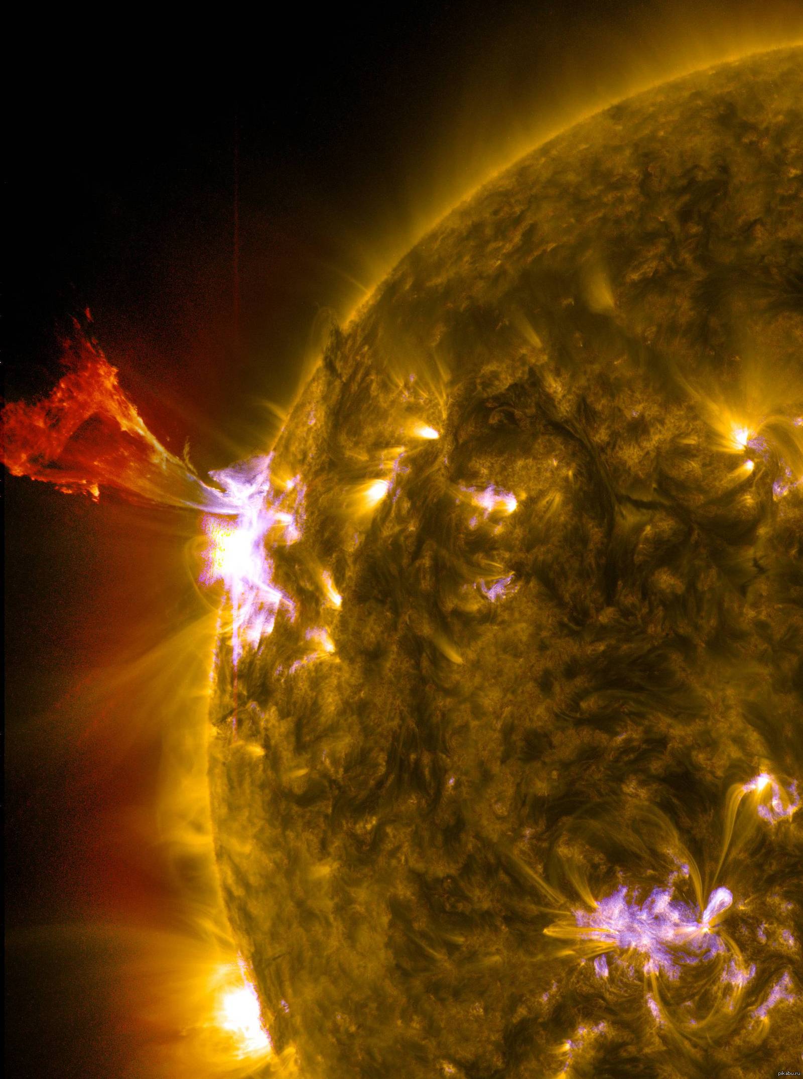 Звезда около солнца. Снимки солнца. Солнце из космоса. Космические снимки солнца. Снимки солнца из космоса.