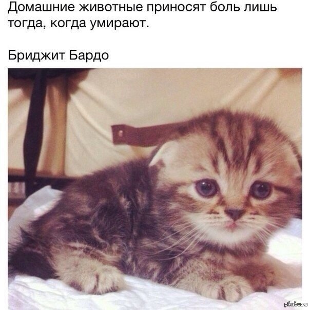 Горькая правда